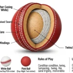 what is cricket ball?