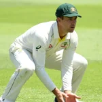fielding positions in cricket