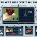 What is Snickometer